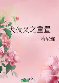 (犬夜叉同人)犬夜叉之重置