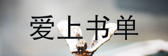 爱上书单&高分悬疑灵异13本